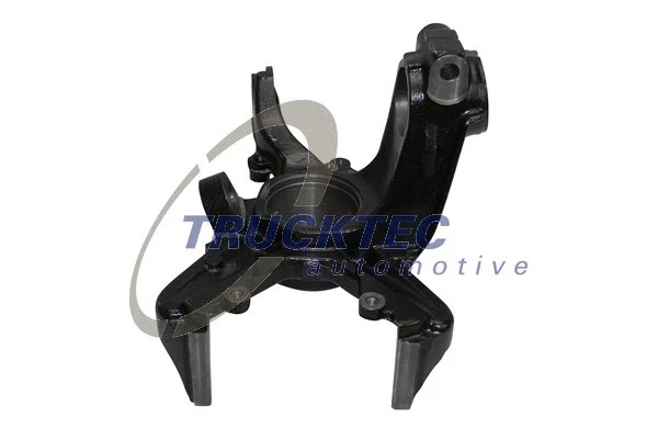Steering Knuckle, wheel suspension (07.31.302)