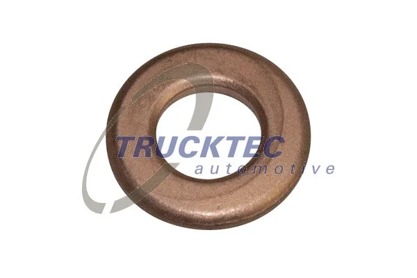 Heat Shield, injection system (02.10.079)