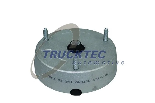 Suspension Strut Support Mount (08.30.100)
