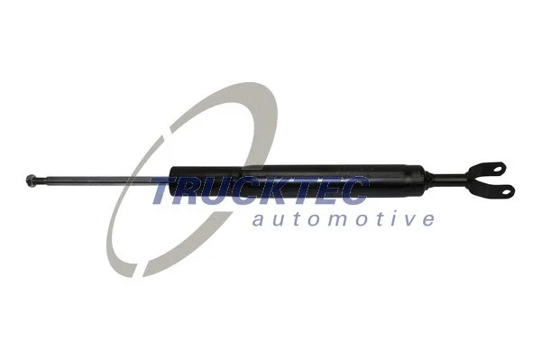 Shock Absorber (07.30.192)