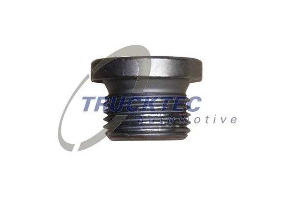 Screw Plug, oil sump (07.10.078)