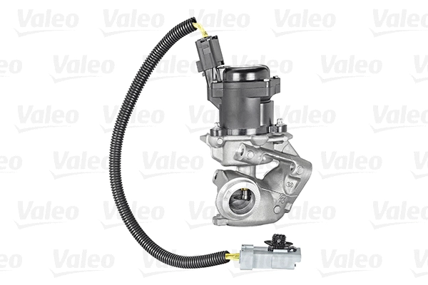 EGR Valve (700412)