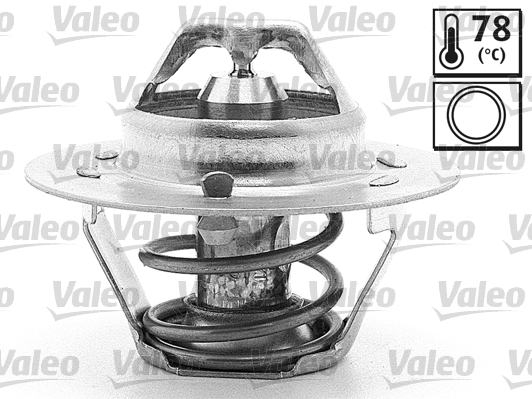 Thermostat, coolant (819916)