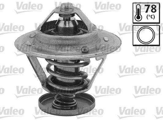 Thermostat, coolant (820165)