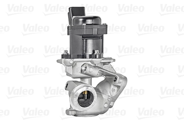EGR Valve (700444)