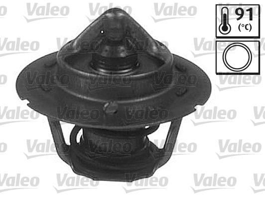 Thermostat, coolant (820568)