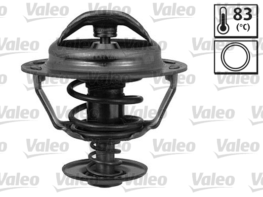 Thermostat, coolant (819955)