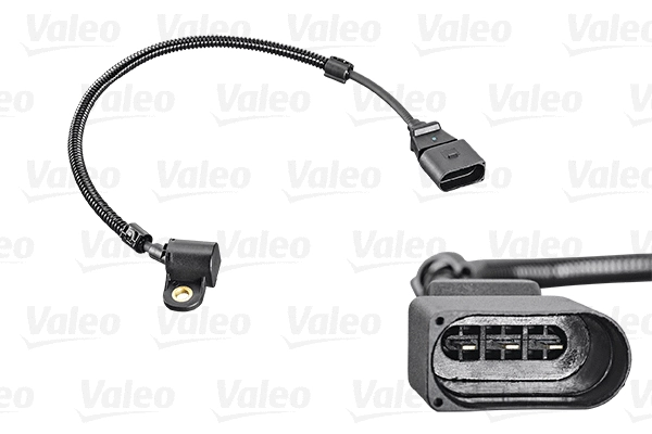 Sensor, camshaft position (253807)