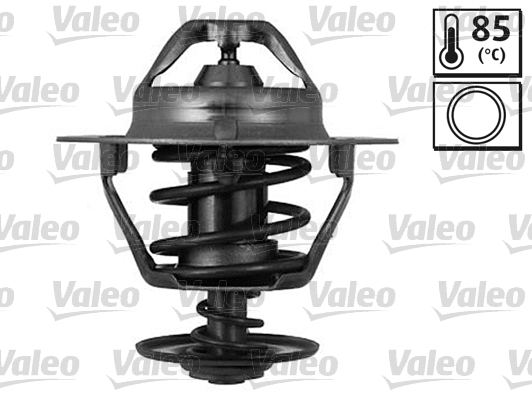 Thermostat, coolant (820555)