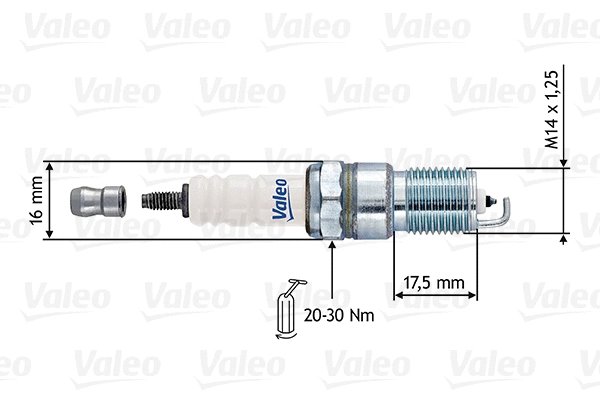 Spark Plug (246900)