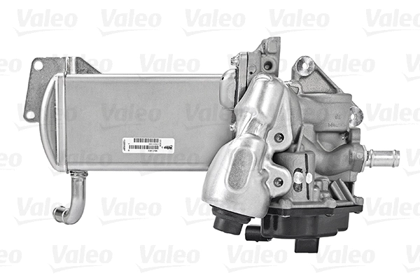 EGR Module