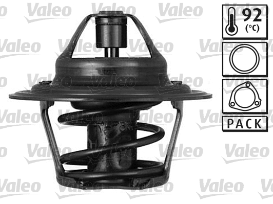 Thermostat, coolant (819854)