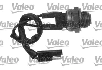 Temperature Switch, radiator fan (819765)