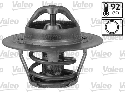 Thermostat, coolant (820177)