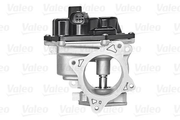 EGR Valve (700448)