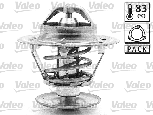 Thermostat, coolant (819852)