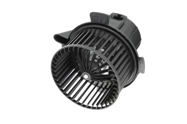 Interior Blower (884541)