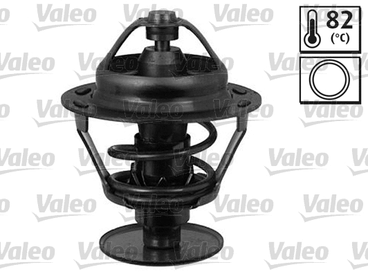 Thermostat, coolant (820021)