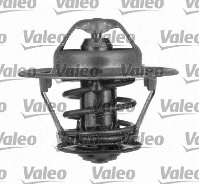 Thermostat, coolant (820024)