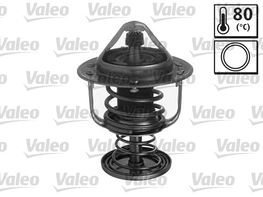 Thermostat, coolant (820597)