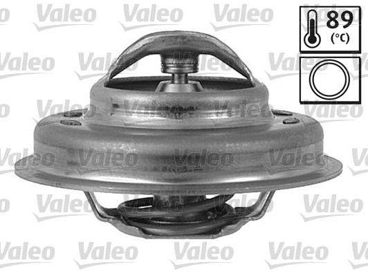 Thermostat, coolant (820043)