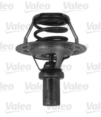 Thermostat, coolant (820907)