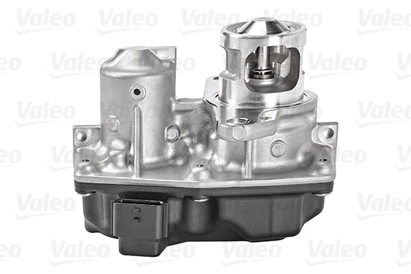 EGR Valve (700449)