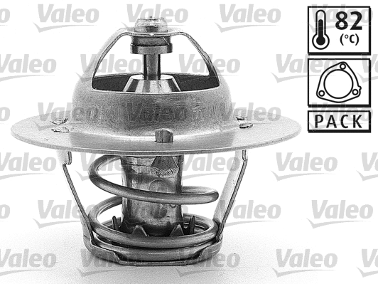Thermostat, coolant (819966)