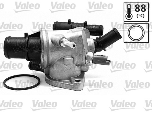 Thermostat, coolant (820468)