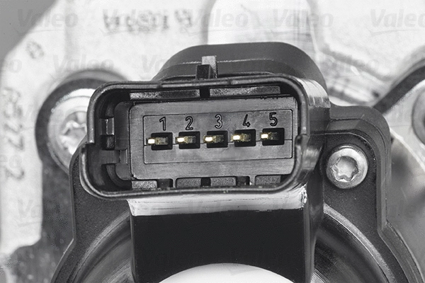 EGR Valve