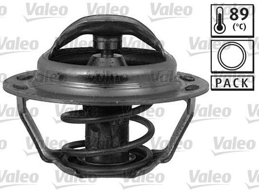 Thermostat, coolant (819934)