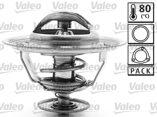 Thermostat, coolant (819887)