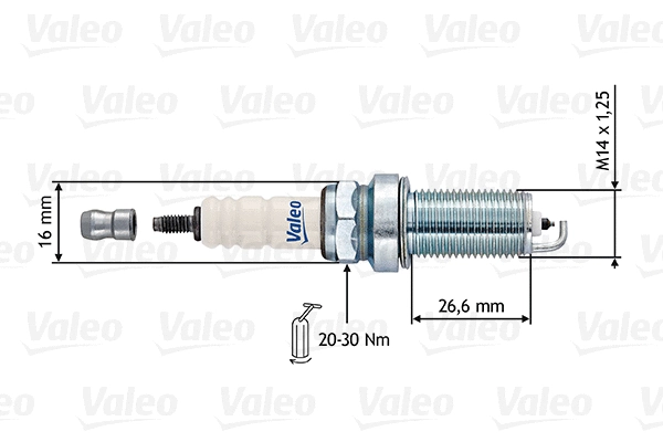 Spark Plug (246889)