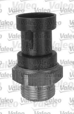 Temperature Switch, radiator fan (819827)