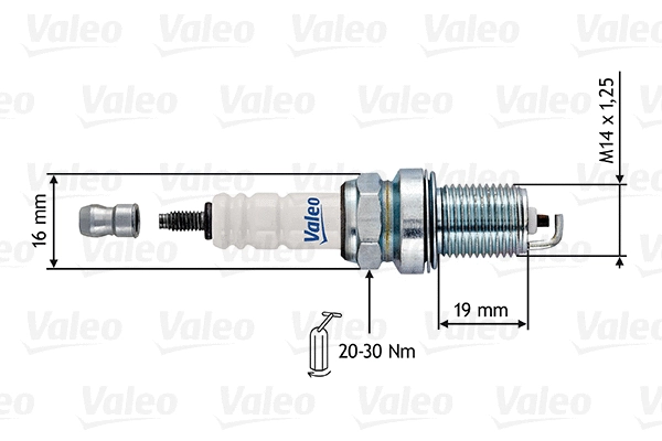 Spark Plug (246913)