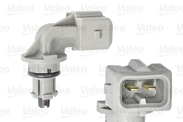 Sensor, intake air temperature (255600)