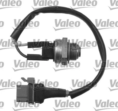 Temperature Switch, radiator fan (819782)