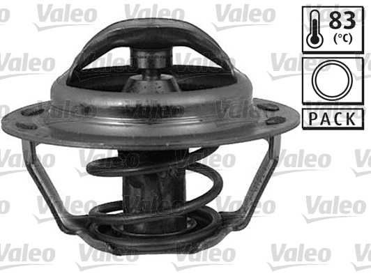 Thermostat, coolant (820471)