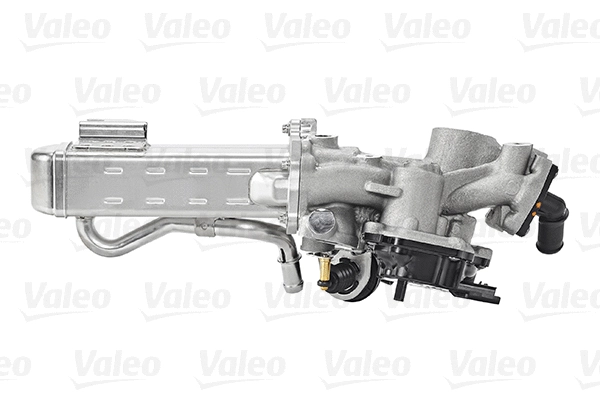 EGR Module