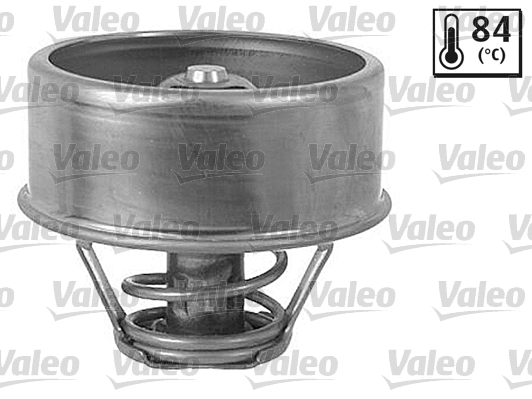 Thermostat, coolant (819879)