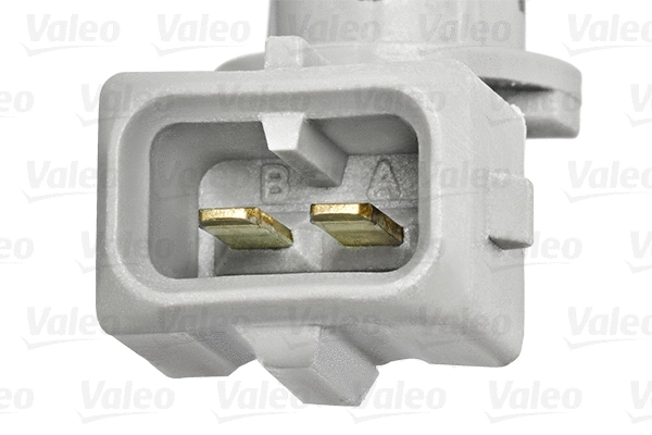 Sensor, intake air temperature