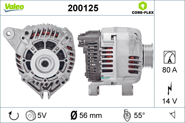 Alternator (200125)