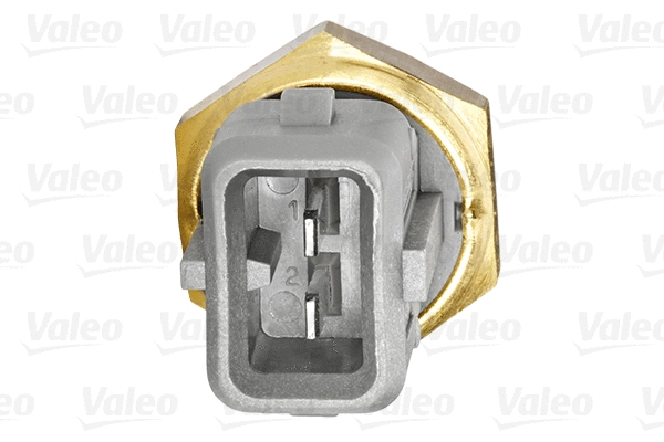 Sensor, intake air temperature