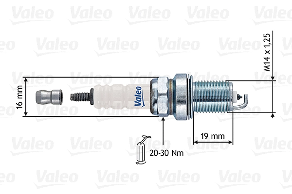 Spark Plug (246892)