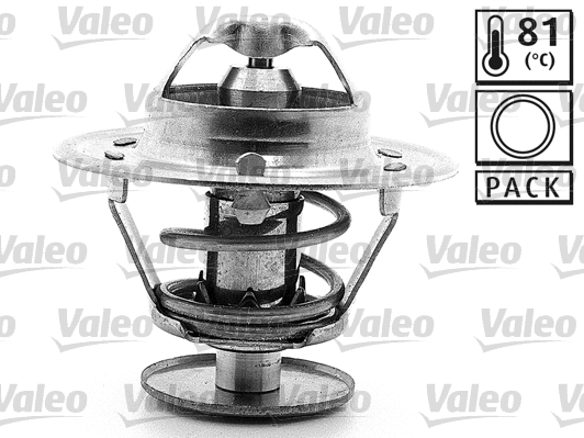 Thermostat, coolant (819882)