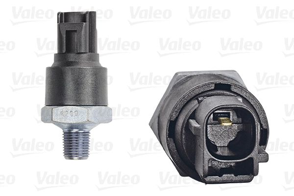 Sensor, oil pressure (255100)