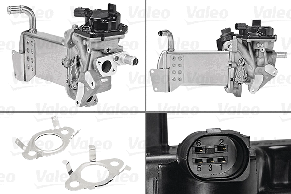 EGR Module