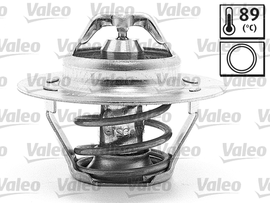 Thermostat, coolant (819862)