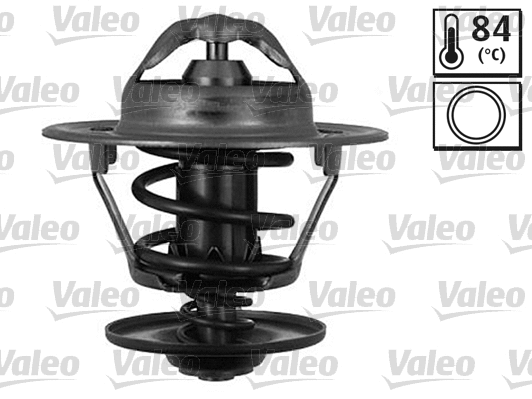 Thermostat, coolant (820132)