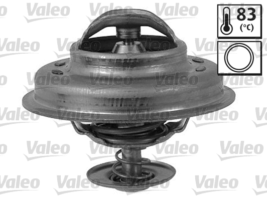 Thermostat, coolant (819952)